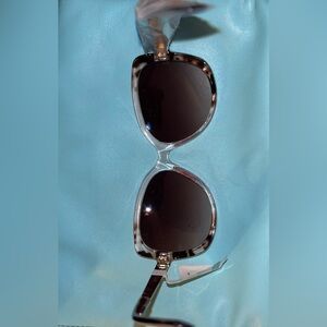Lucite Square Sunglasses